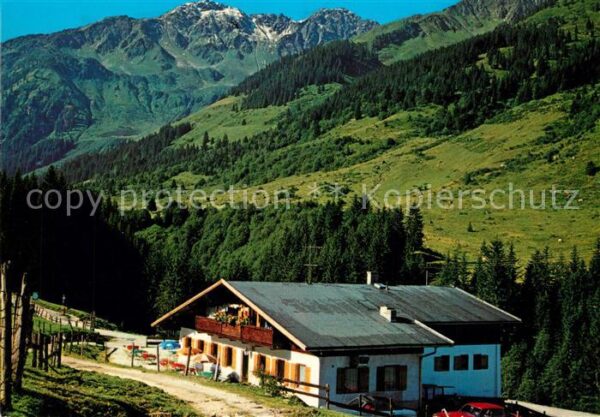 Wildschoenau Tirol Alpengasthof Wandergebiet Schönangeralm
