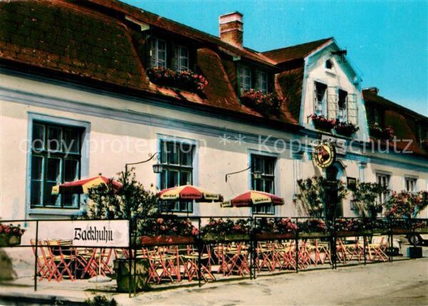 Sankt Margarethen Burgenland Restaurant Pranger Backhuhn