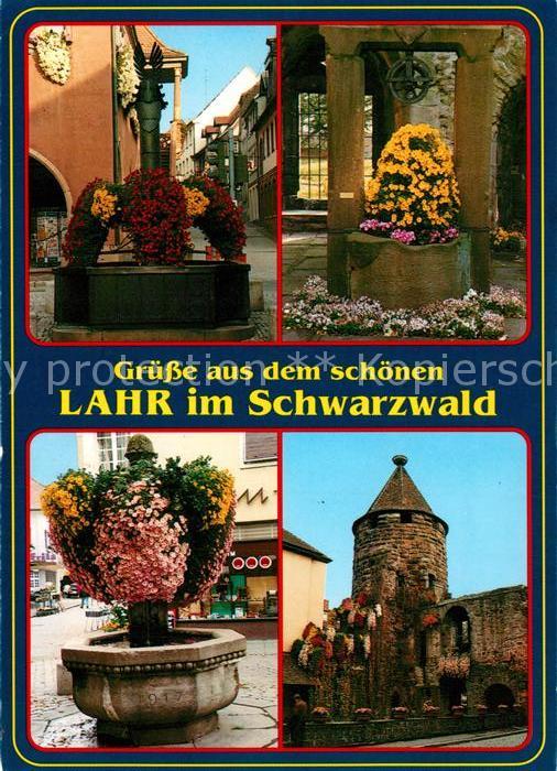 Lahr Baden Innenstadt Brunnen Blumenschmuck Storch