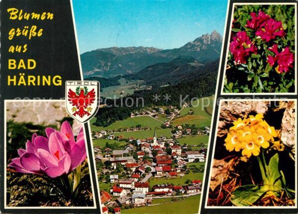 Bad Haering Tirol Panorama Kaisergebirge Fliegeraufnahme