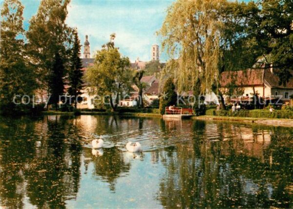 Sulzbach-Rosenberg partie am Stadtweiher Schwäne