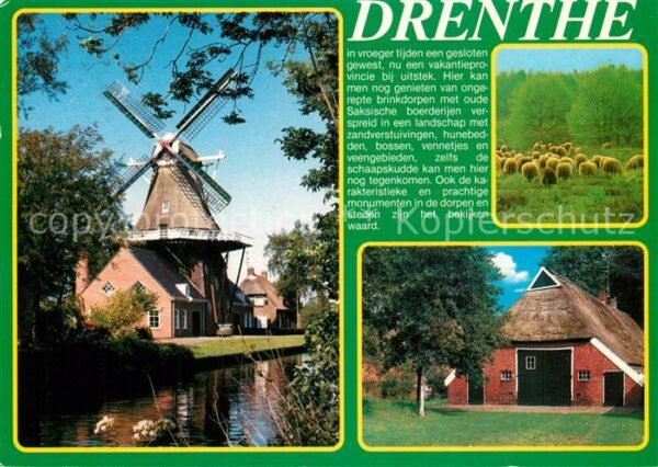 Drenthe Mühle Schafe Scheune