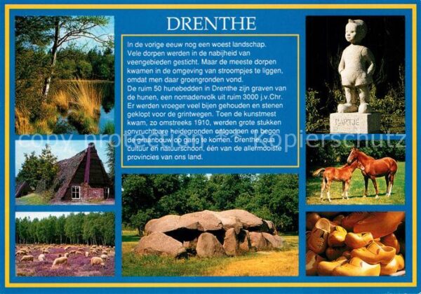 Drenthe Landschaft Altes Haus Schafherde Partje