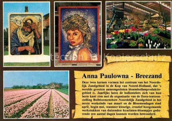 Breezand Anna Paulowna Bloemenbollenproduktiegeb
