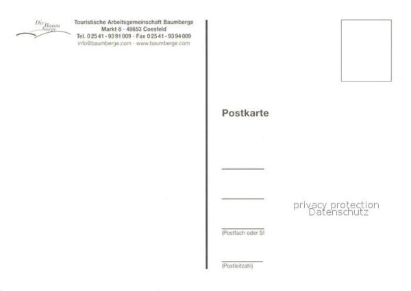 Billerbeck Westfalen Ludgerusdom – Bild 2