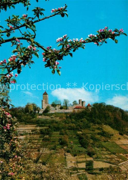Heppenheim Bergstrasse Starkenburg im Frühling Baumblüte