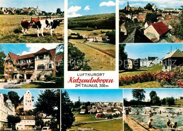Katzenelnbogen Viehweide Kühe Sanatorium Schloss Lands