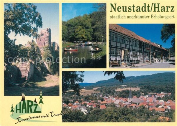 Neustadt Harz Panorama Burgruine Fachwerkhäuser Gonde