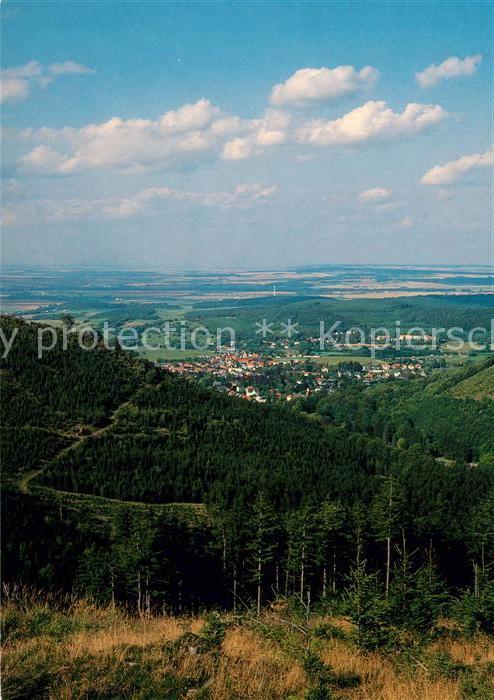 Tabarz Panorama
