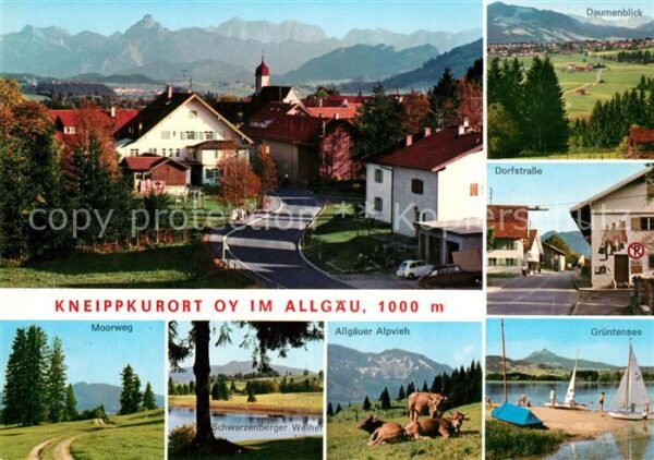 Oy-Mittelberg Daumenblick Dorfstrasse Grüntensee Kühe