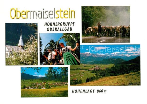 Obermaiselstein Hörnergruppe Kühe Tracht