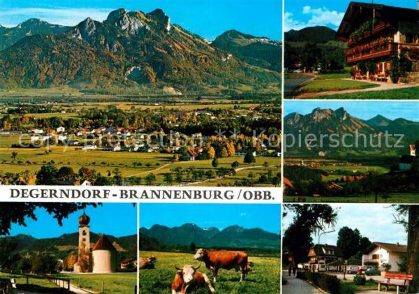 Degerndorf Inn Fliegeraufnahme Brannenburg Kühe Bauern