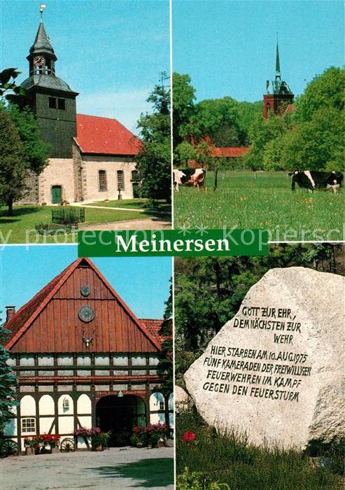 Meinersen Kühe Kirche Fachwerk
