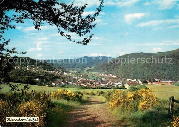 Birresborn Panorama