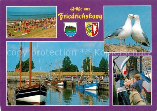 Friedrichskoog Nordseebad Hafen Strand Möwen