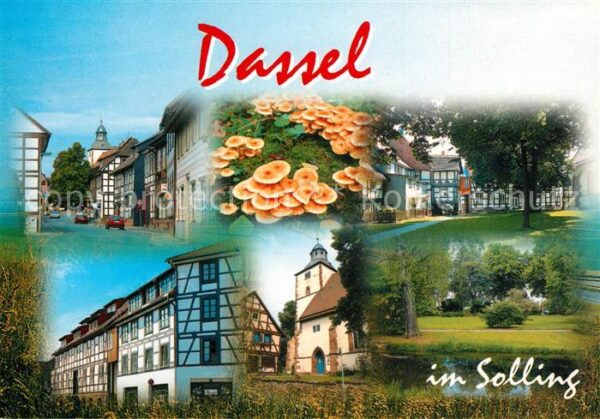 Dassel Solling Fachwerkhäuser Rathaus