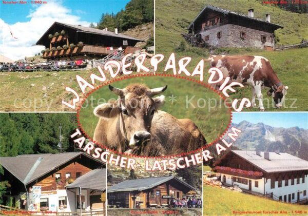 Latsch Vinschgau Wanderparadies Tarscher Latscher Alm Be