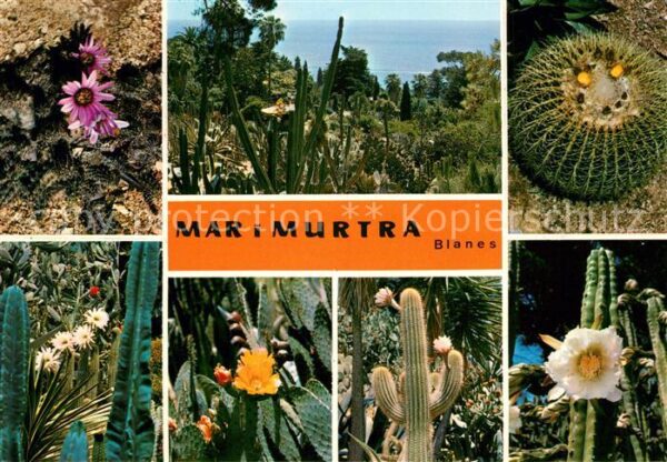 Blanes Fundacion Carlos Faust Jardin Botanico