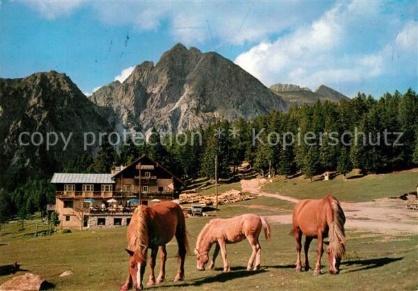 Hafling Albergo Rosa Alpina Haflinger Pferde