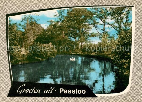 Paasloo Partie am Wasser Natur Landschaftspanor