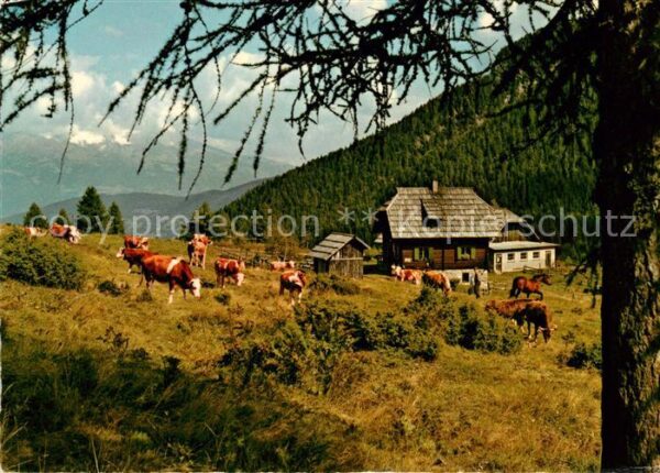 Weissensee Kaernten Alm hinter'm Brunn Kühe