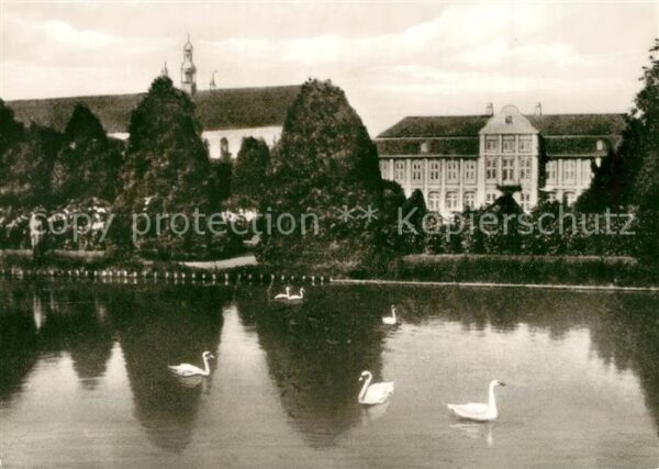 Oliva Westpreussen Danzig Gdansk Schloß mit Kirche Schwäne