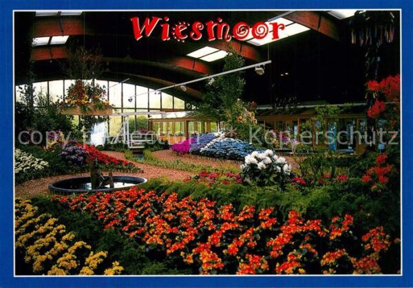 Wiesmoor Gewächshaus