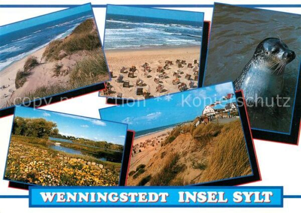 Wenningstedt Sylt Strand Seelöwe