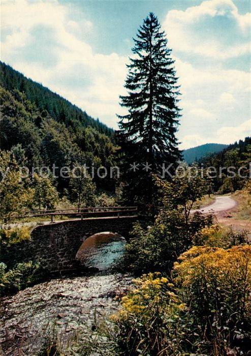 Siebertal Herzberg Brückenpartie