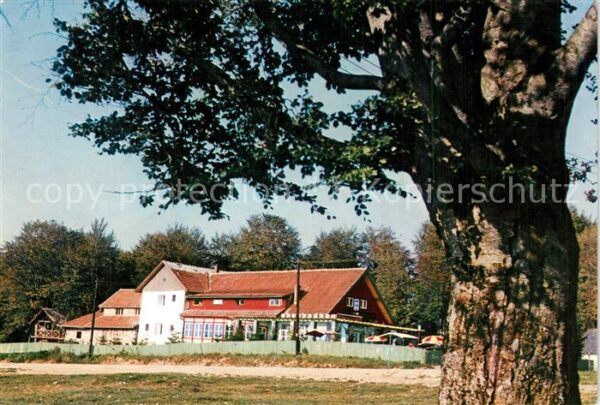 Brasso Brasov Kronstadt Cabana-Vinatorul