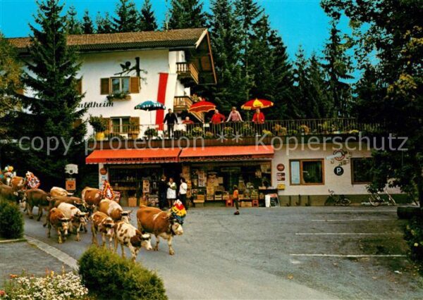 Niederndorf Kufstein Sommerfrische Rettenschöss Viehabtrieb