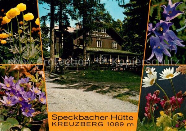Breitenstein Niederoesterreich Speckbacher Hütte