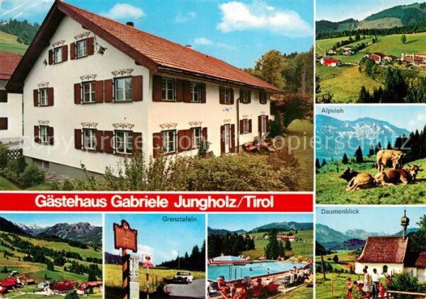 Jungholz Tirol Gästehaus Gabriele Panorama Alpvieh Gre