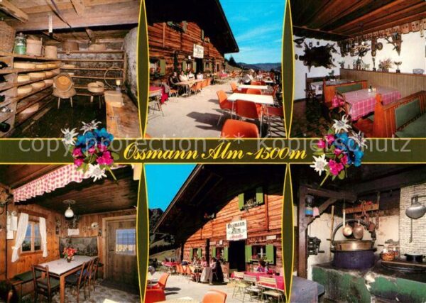 Saalbach-Hinterglemm Jausenstation Ossmann Alm Käserei Terra