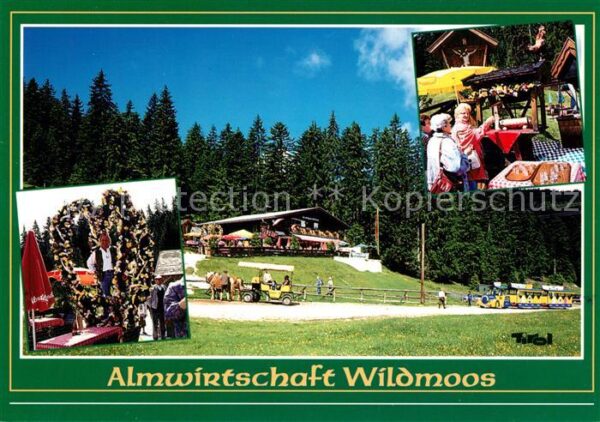 Seefeld Tirol Almwirtschaft Wildmoos