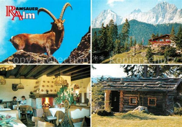 Ramsau Dachstein Steiermark Ramsauer Alm Alpenrestaurant Steinbock