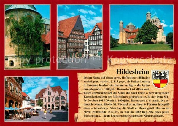 Hildesheim Dom 1000jähriger Rosenstock Knochenhaue
