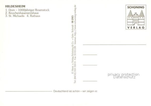 Hildesheim Dom 1000jähriger Rosenstock Knochenhaue – Bild 2