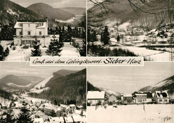 Sieber