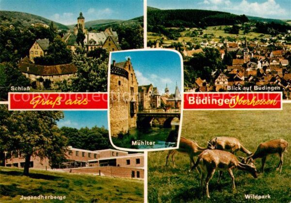Buedingen Hessen Schloss Jugendherberge Wildpark Panoram