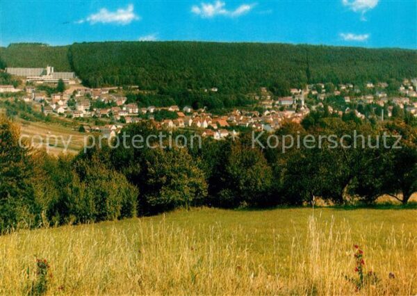 Bad Bocklet Kurklinik Panorama