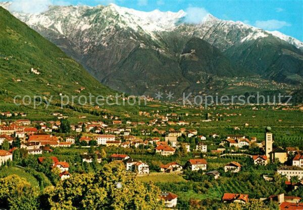Lana Meran Panorama
