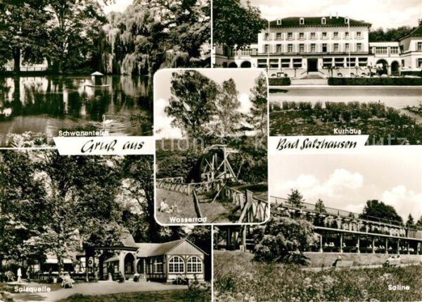 Bad Salzhausen Schwanenteich Kurhaus Salzquelle Wasser