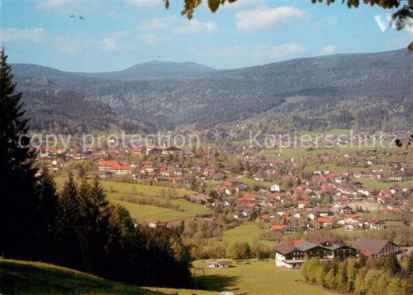 Bodenmais Panorama