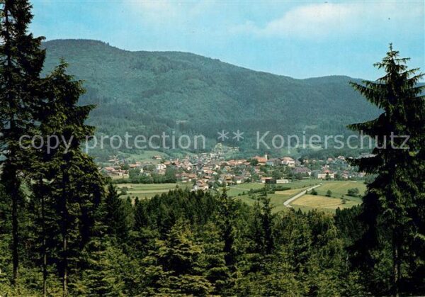 Bodenmais Panorama
