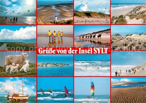 Insel Sylt Strand Dünen Schafe Pferde Wattwanderer