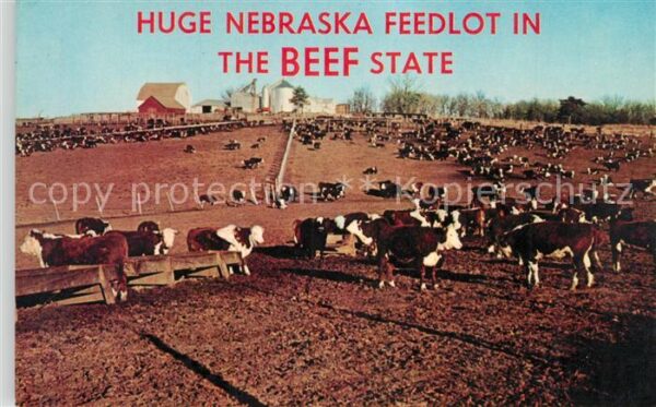 Nebraska US-State Feedlot in Beef State
