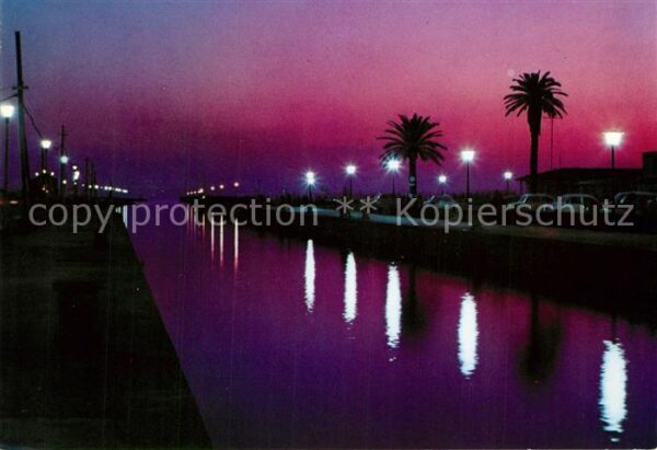 Viareggio Molo notturno