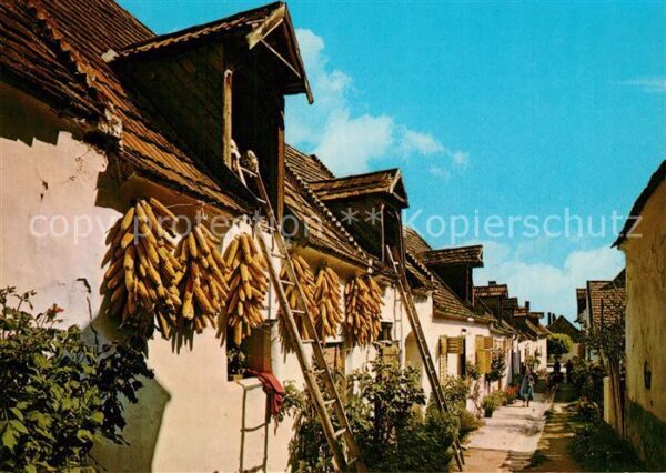 Burgenland Oesterreich Hofgasse