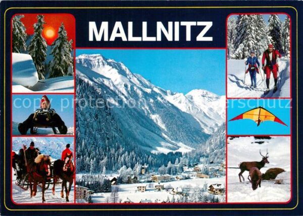 Mallnitz Kaernten Skigebiet Pferdeschlitten Wild
